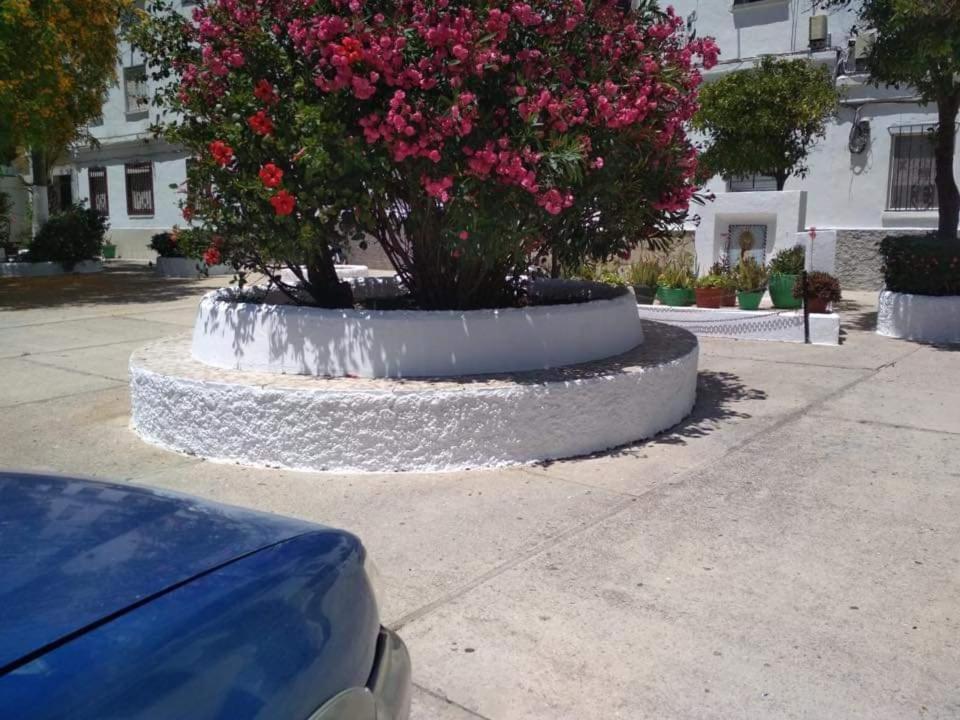 Appartamento Vegandi Barbate Esterno foto